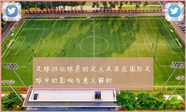 足球归化球员的定义及其在国际足球中的影响与意义解析