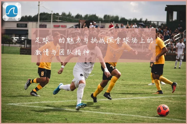 足球扱的魅力与挑战探索球场上的激情与团队精神