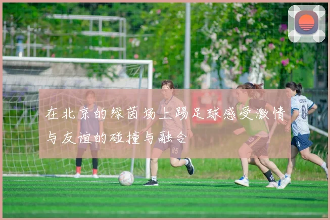 在北京的绿茵场上踢足球感受激情与友谊的碰撞与融合
